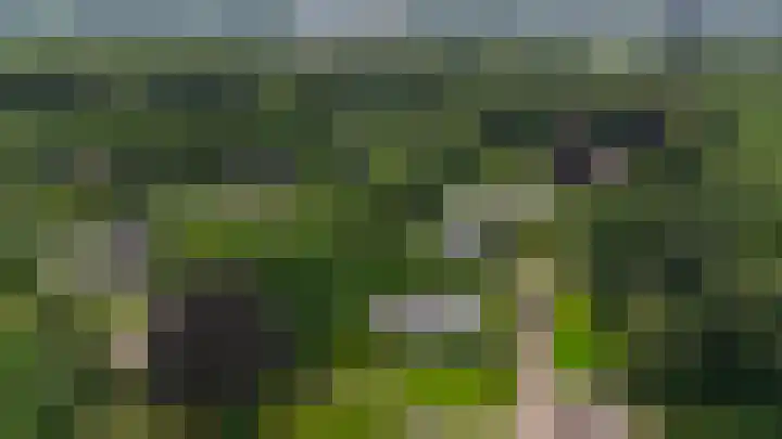 Platolaan 11 Assen thumbnail 4