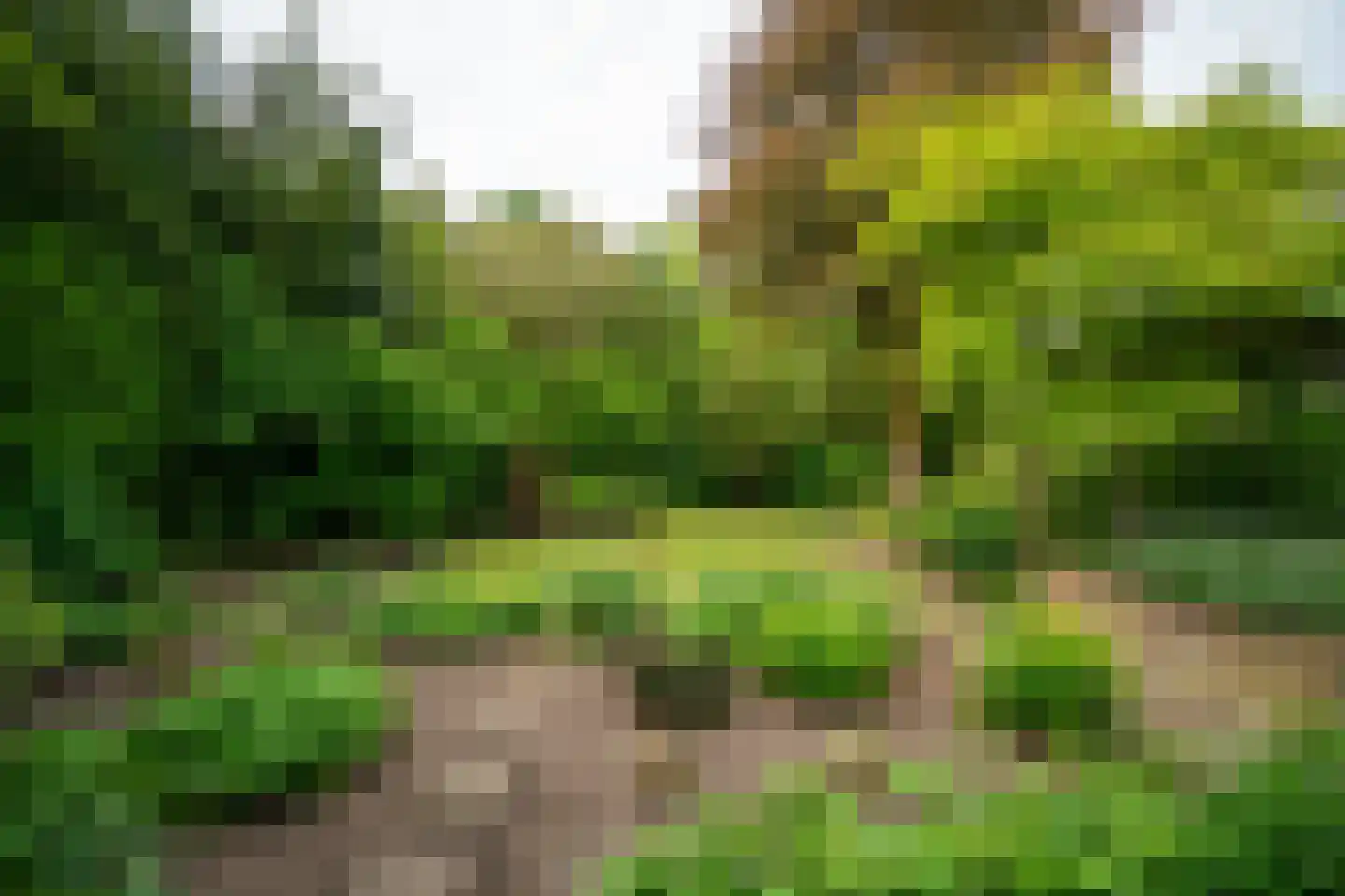 Platolaan 13 Utrecht thumbnail 11