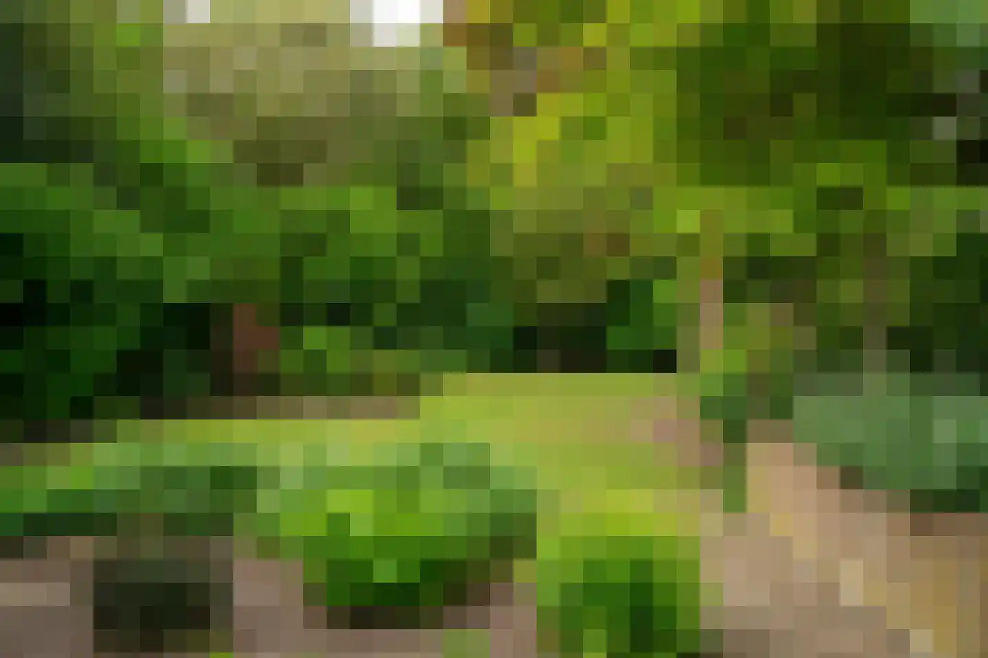 Platolaan 13 Utrecht thumbnail 12