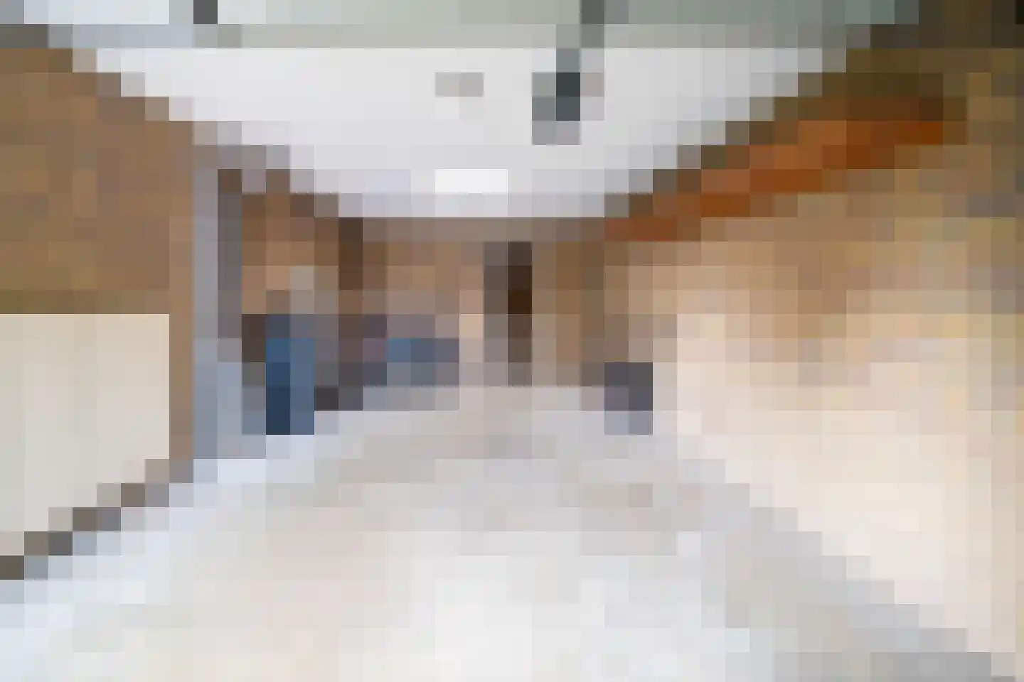 Platolaan 13 Utrecht thumbnail 15