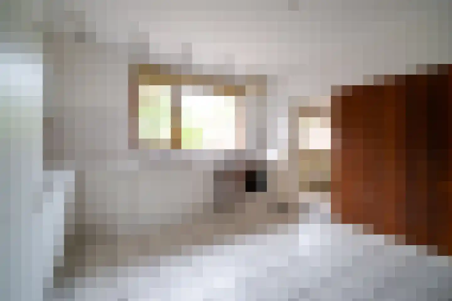 Platolaan 13 Utrecht thumbnail 18