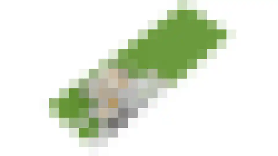 Platolaan 13 Utrecht thumbnail 25
