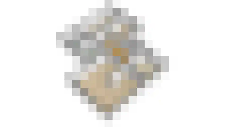 Platolaan 13 Utrecht thumbnail 31