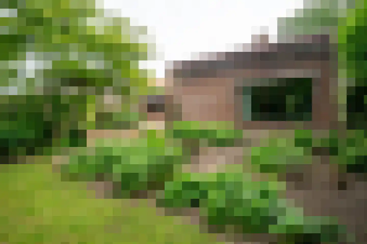 Platolaan 13 Utrecht thumbnail 6