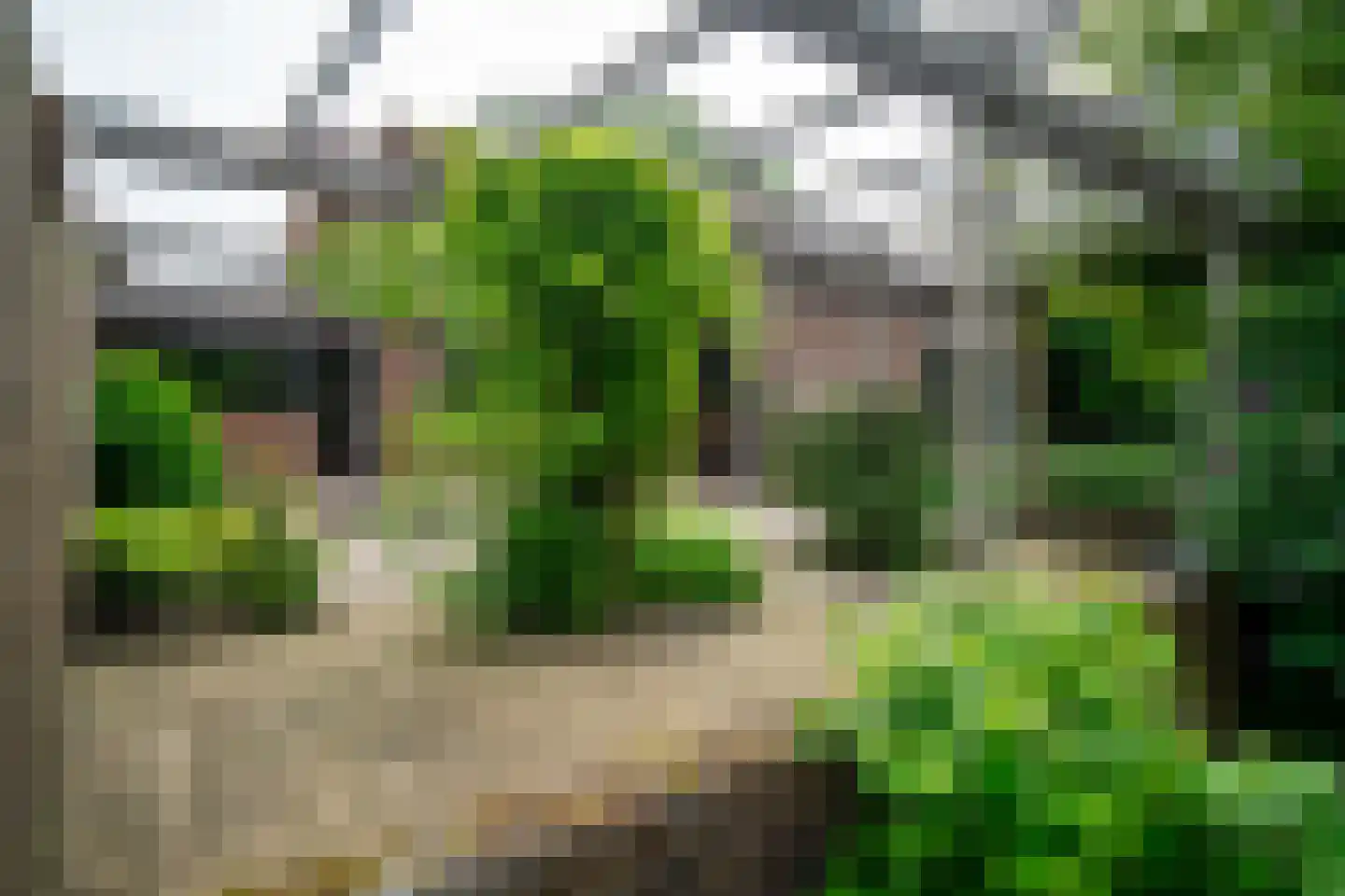 Platolaan 13 Utrecht thumbnail 7