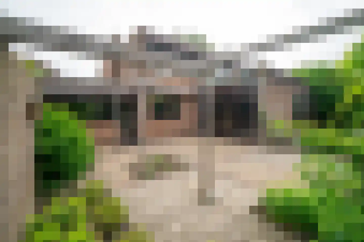 Platolaan 13 Utrecht thumbnail 8