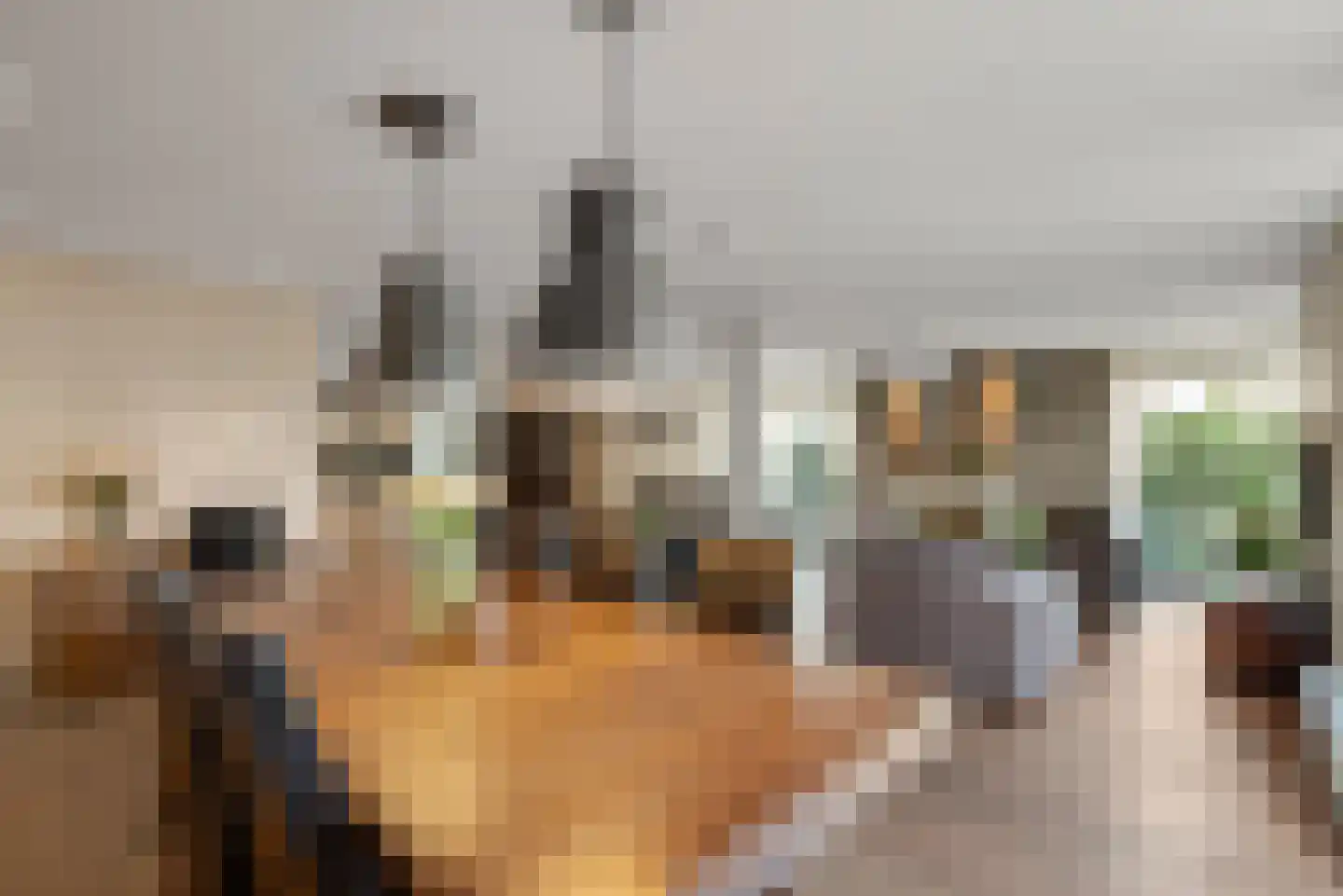 Platolaan 17 Alphen aan den Rijn thumbnail 17