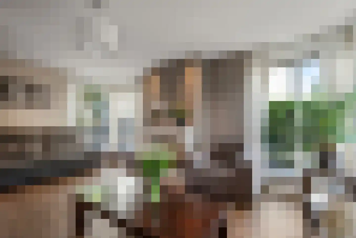 Platolaan 17 Alphen aan den Rijn thumbnail 18