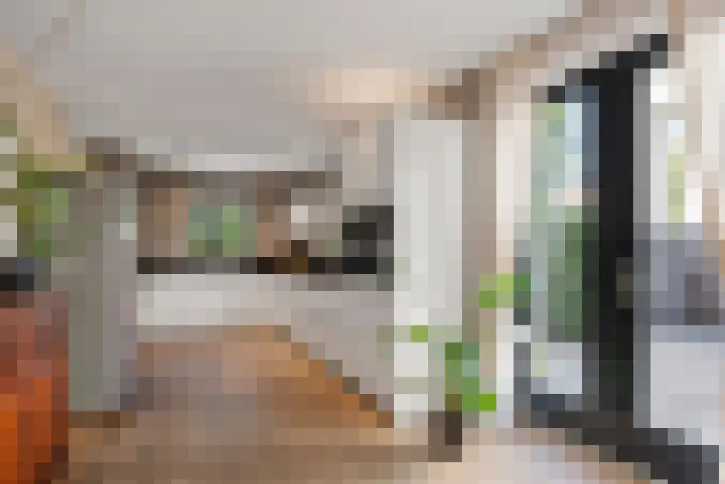 Platolaan 17 Alphen aan den Rijn thumbnail 25