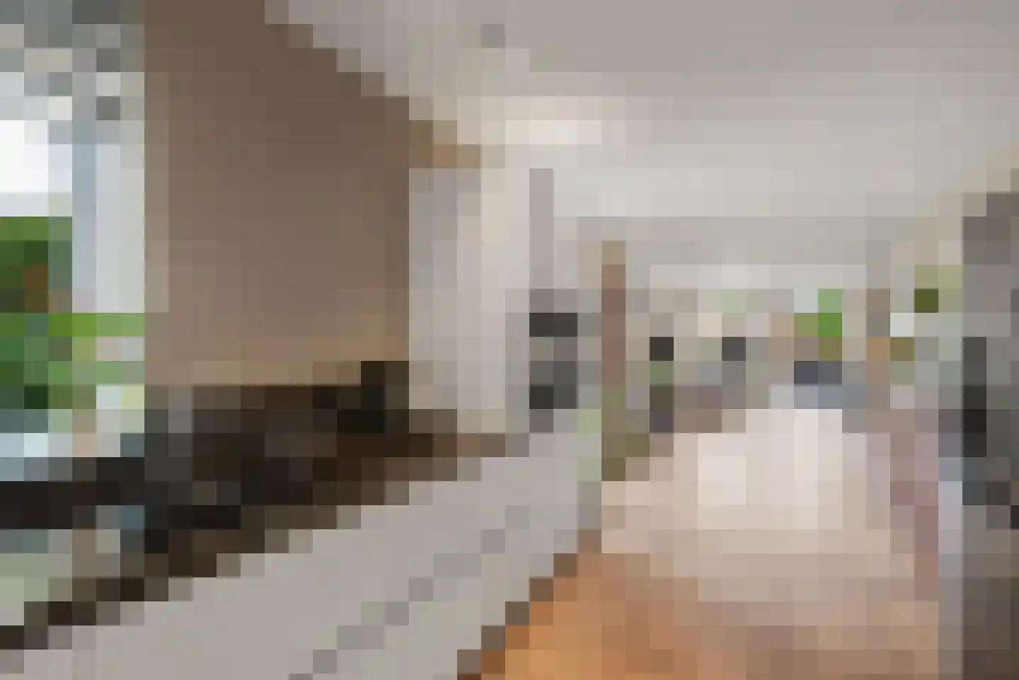 Platolaan 17 Alphen aan den Rijn thumbnail 28