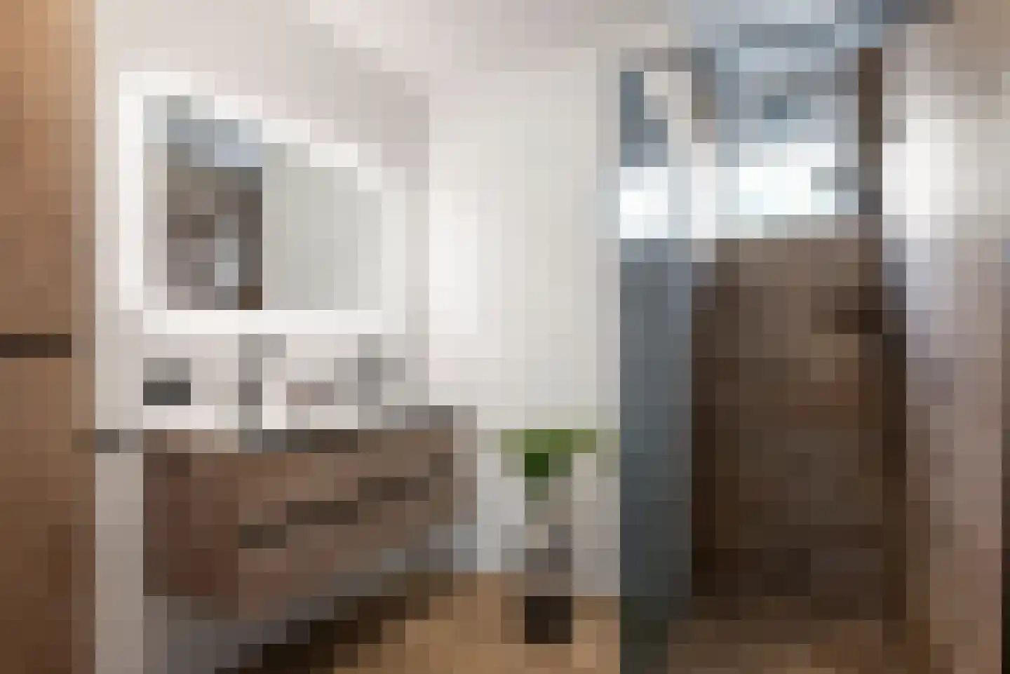 Platolaan 17 Alphen aan den Rijn thumbnail 4