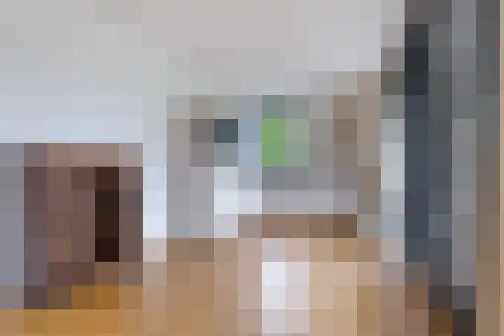Platolaan 2 20 Assen thumbnail 22