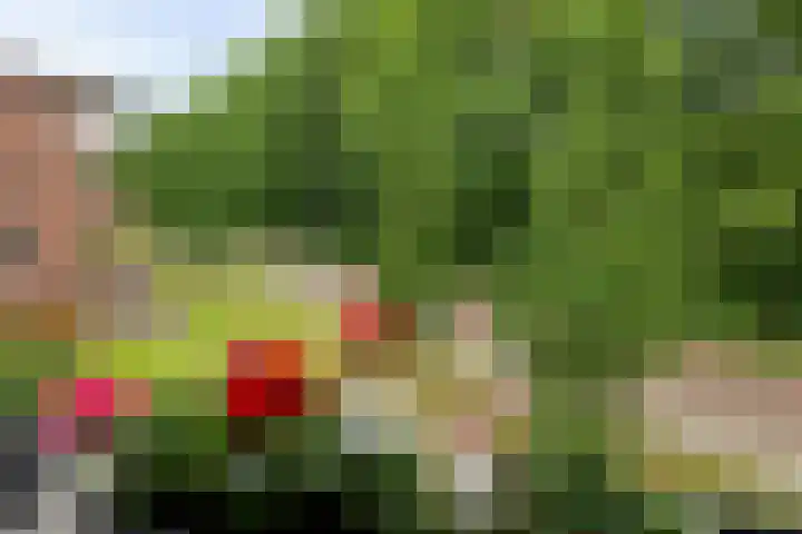 Platolaan 2 20 Assen thumbnail 29