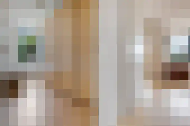 Platolaan 2 20 Assen thumbnail 32