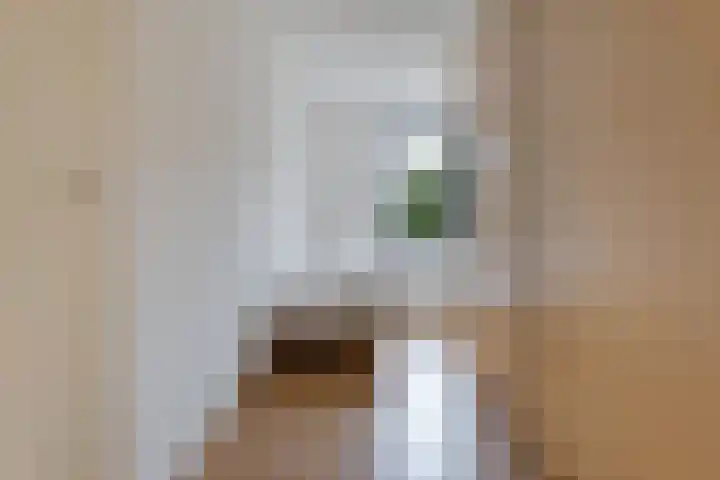 Platolaan 2 20 Assen thumbnail 36