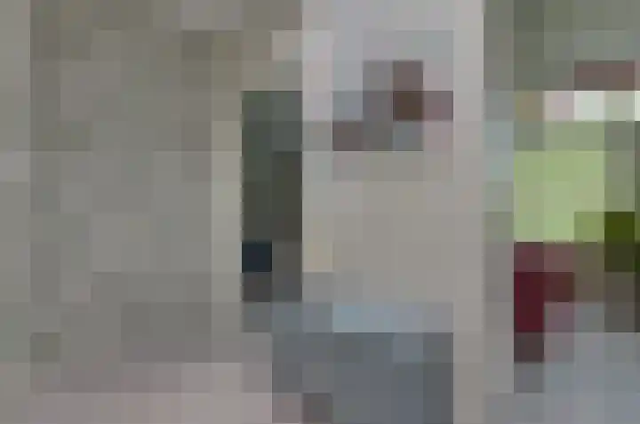 Platolaan 26 Assen thumbnail 17