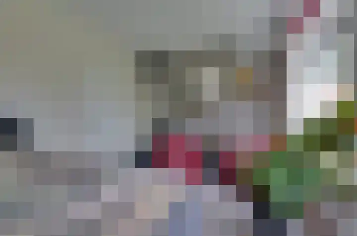 Platolaan 26 Assen thumbnail 19