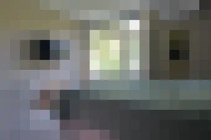 Platolaan 26 Assen thumbnail 25