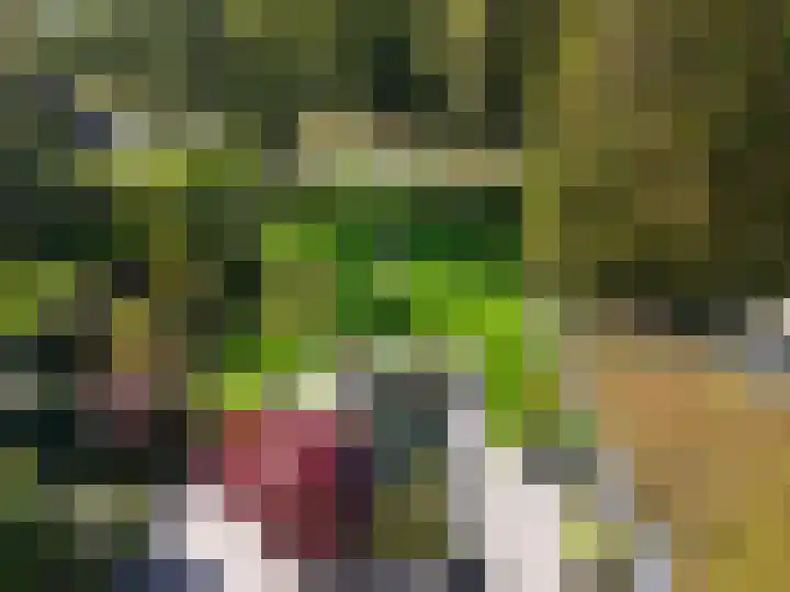 Platolaan 26 Assen thumbnail 4