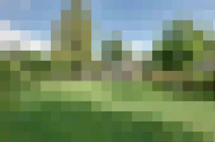 Platolaan 26 Assen thumbnail 41