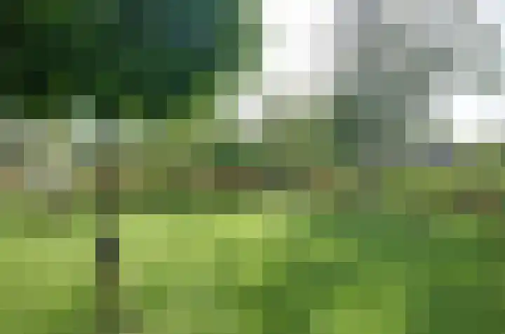 Platolaan 26 Assen thumbnail 59