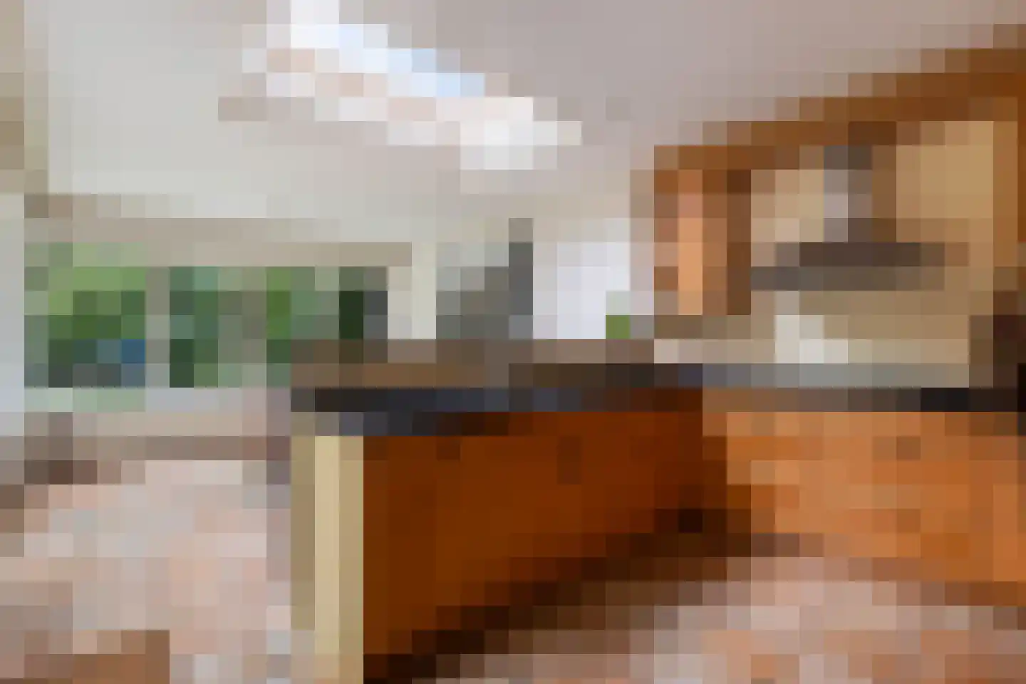 Platolaan 29 Zeist thumbnail 19