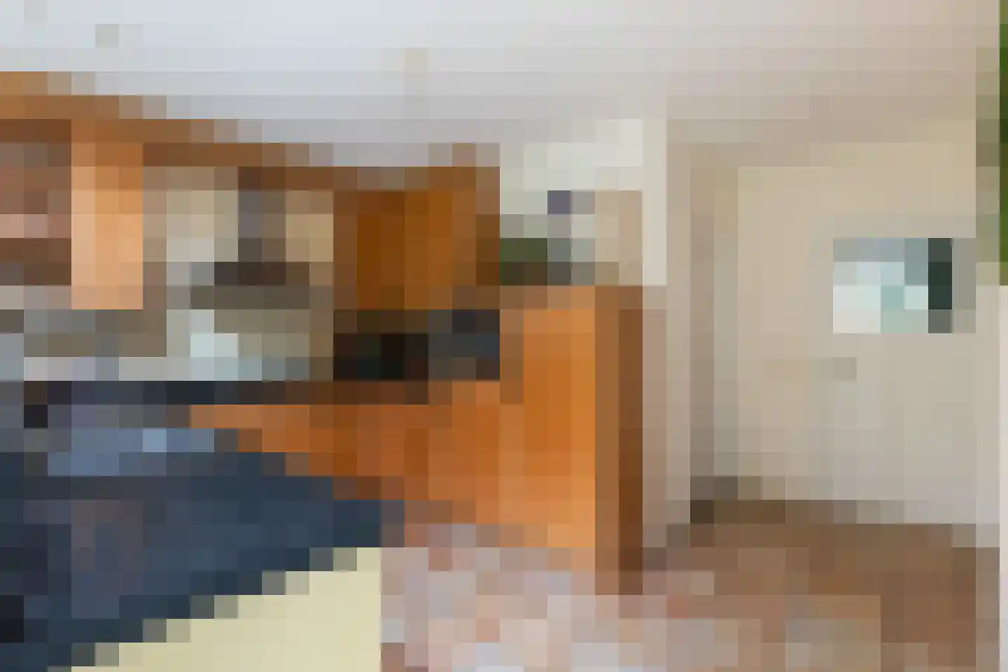 Platolaan 29 Zeist thumbnail 21