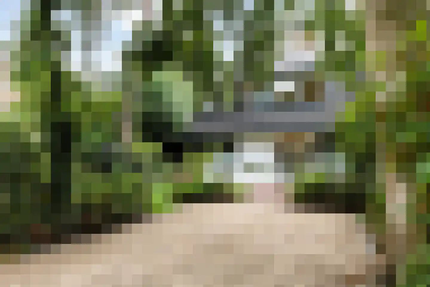 Platolaan 29 Zeist foto 3