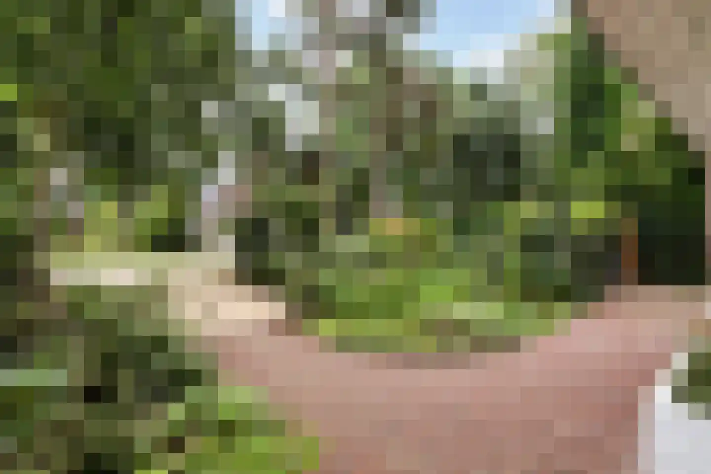Platolaan 29 Zeist thumbnail 32