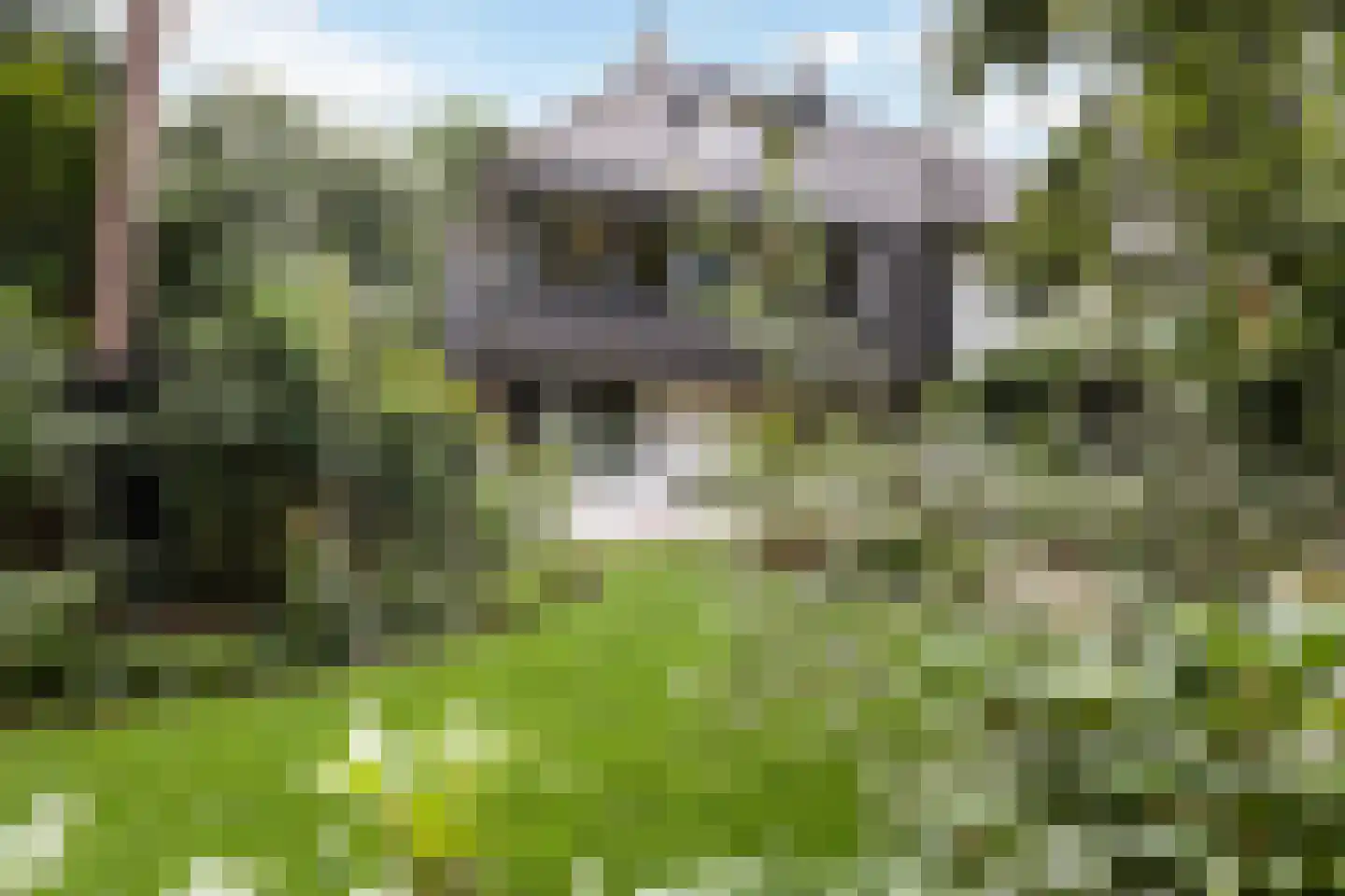 Platolaan 29 Zeist thumbnail 4