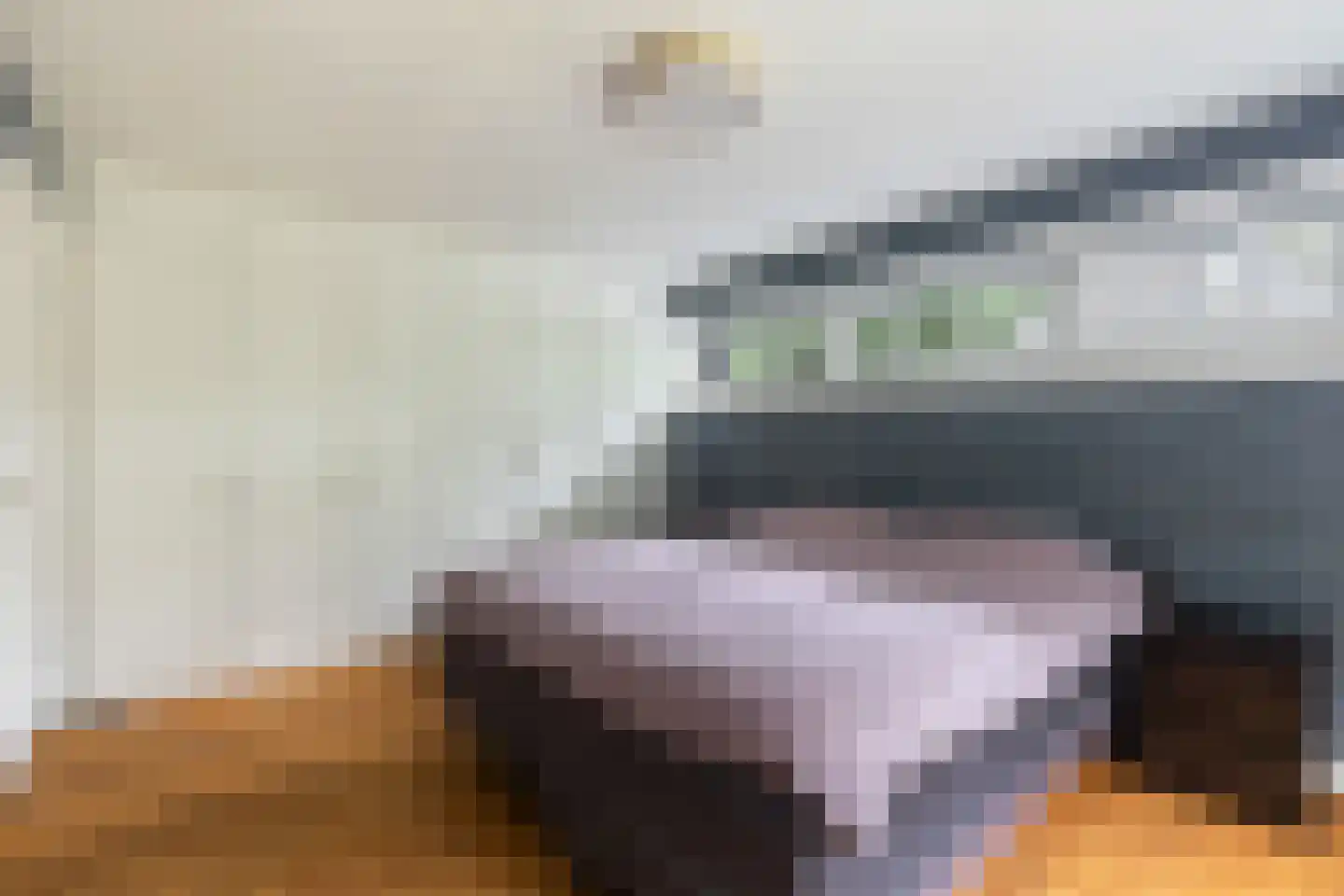 Platolaan 29 Zeist thumbnail 40
