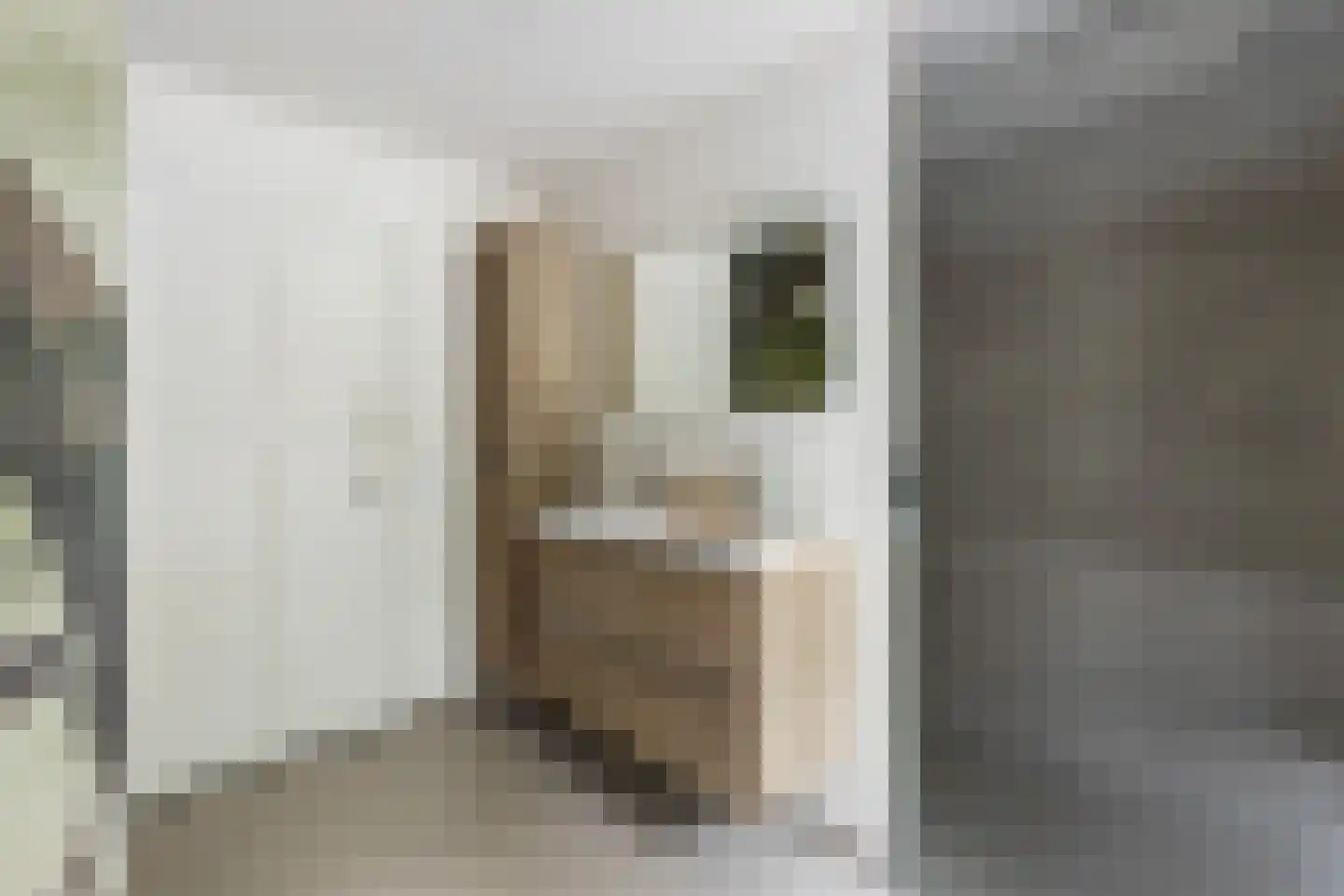 Platolaan 29 Zeist thumbnail 46