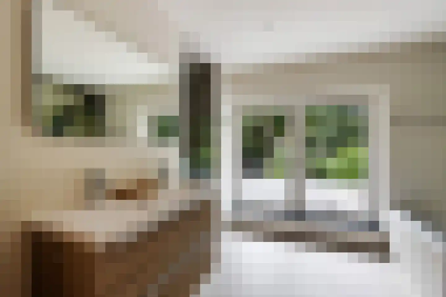 Platolaan 29 Zeist thumbnail 47