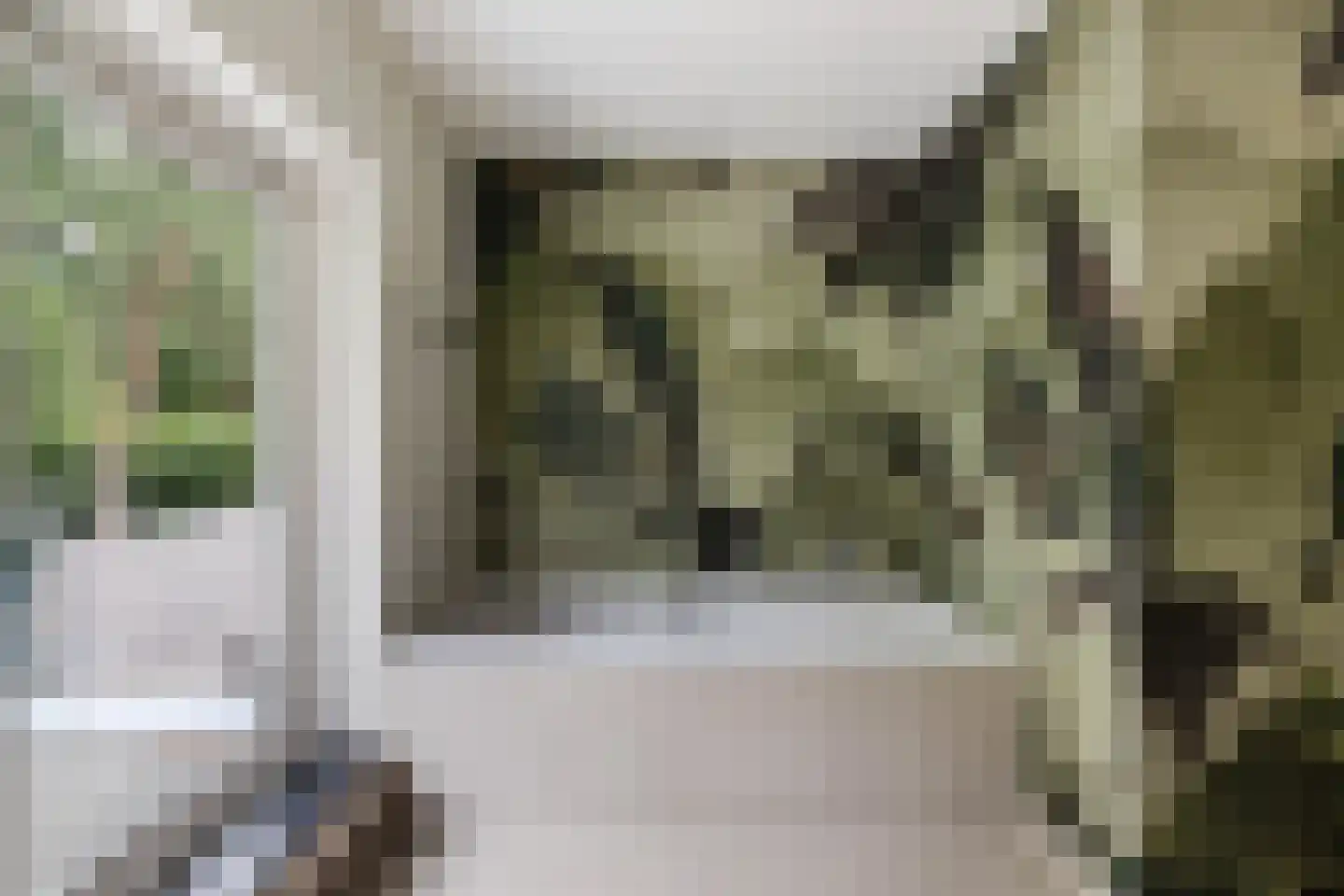 Platolaan 29 Zeist thumbnail 48