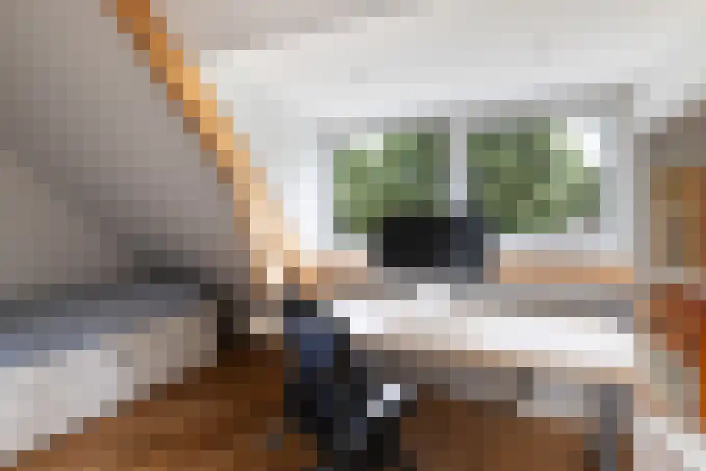 Platolaan 29 Zeist thumbnail 49