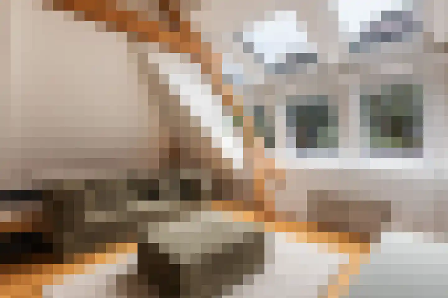 Platolaan 29 Zeist thumbnail 51