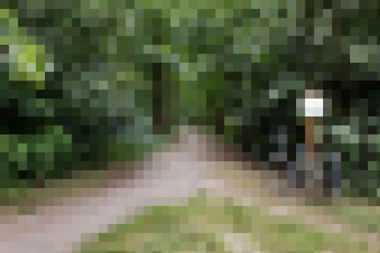 Platolaan 29 Zeist thumbnail 55