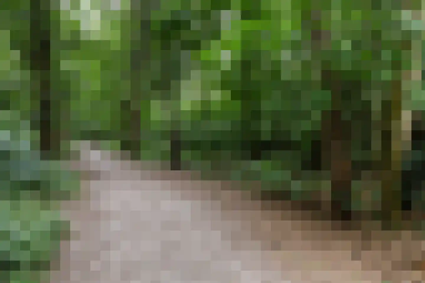 Platolaan 29 Zeist thumbnail 56