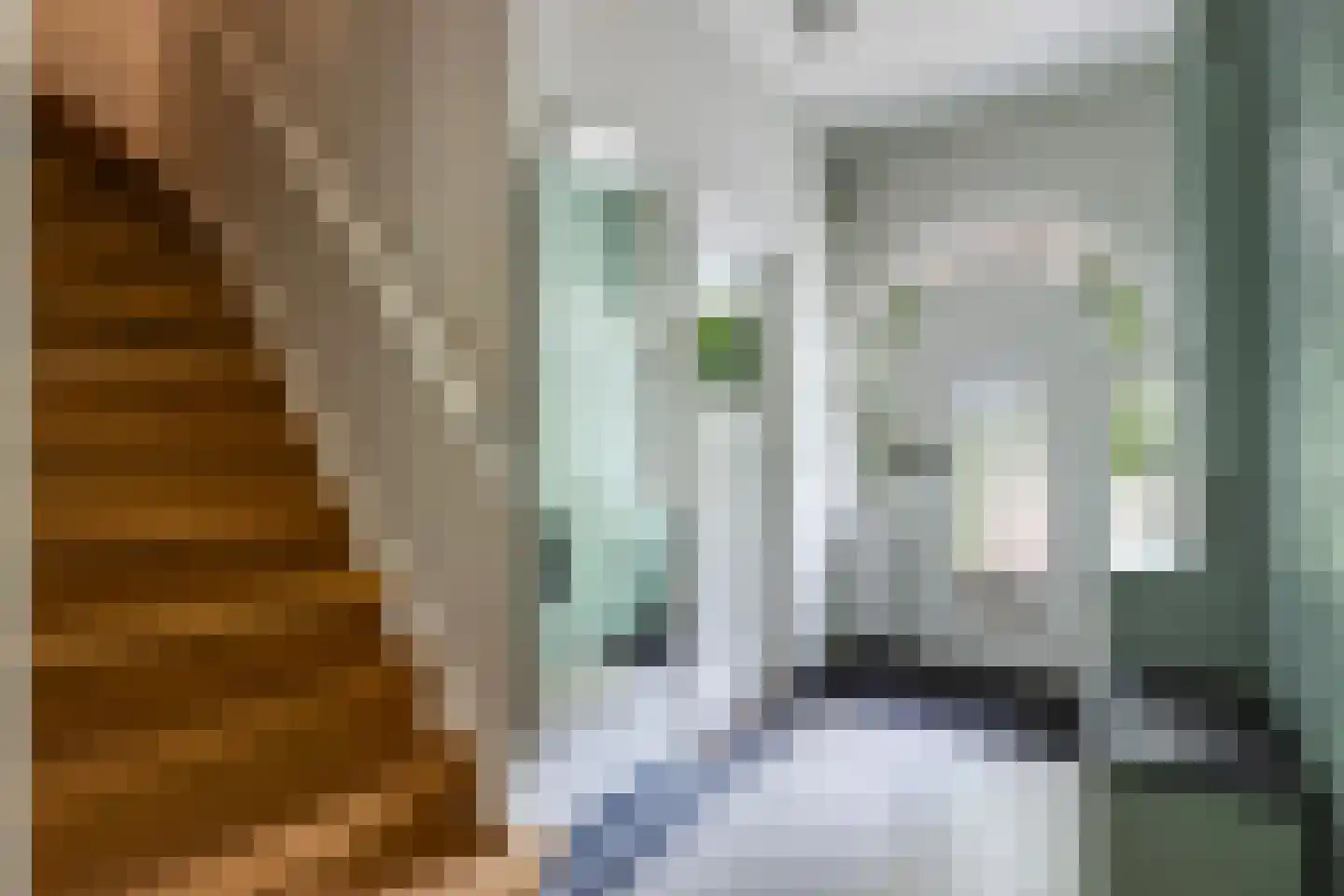 Platolaan 29 Zeist thumbnail 8
