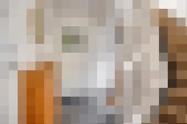 Platolaan 71 Zeist thumbnail 16