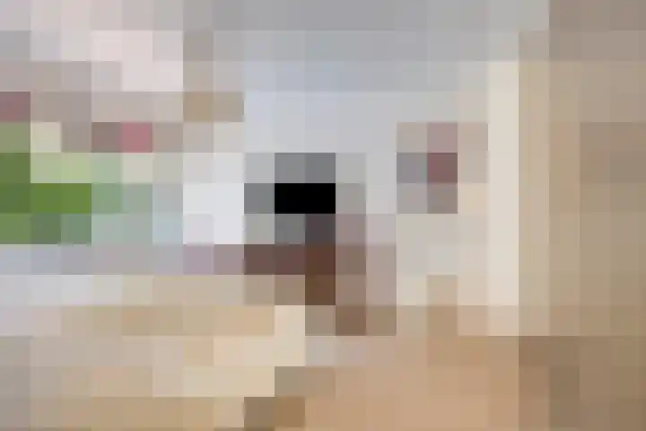 Platolaan 71 Zeist thumbnail 19