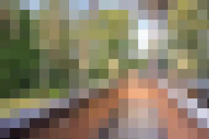 Platolaan 71 Zeist thumbnail 20