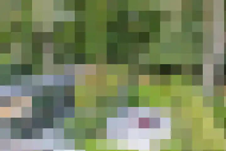 Platolaan 71 Zeist thumbnail 21