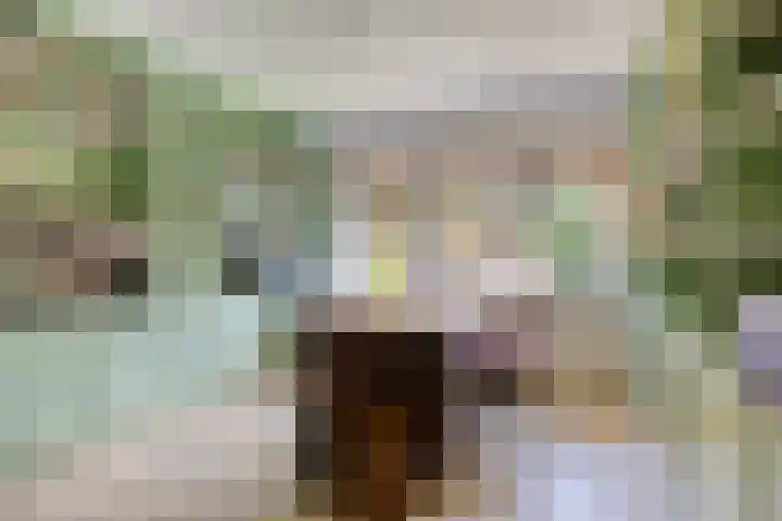Platolaan 71 Zeist thumbnail 22