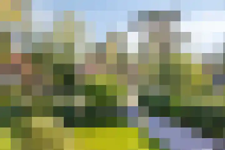 Platolaan 71 Zeist thumbnail 24