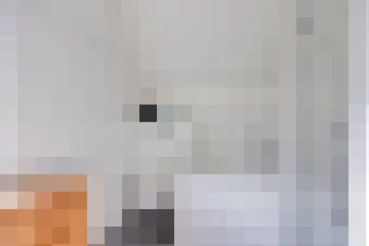 Platolaan 71 Zeist thumbnail 28