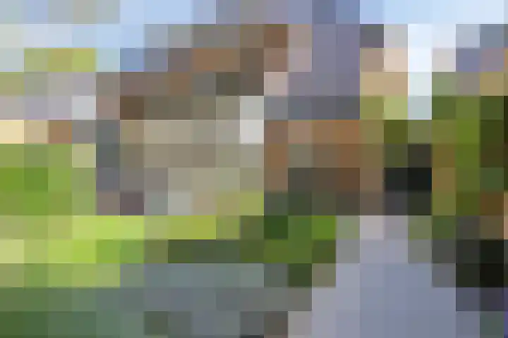 Platolaan 71 Zeist thumbnail 41