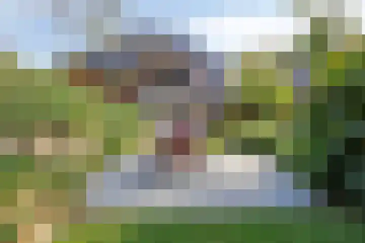 Platolaan 71 Zeist thumbnail 42