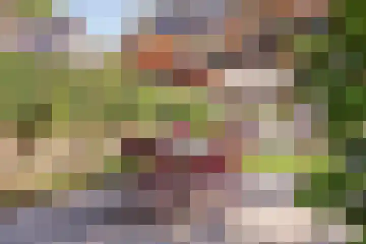Platolaan 71 Zeist thumbnail 43