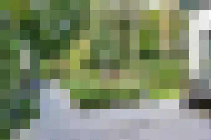 Platolaan 71 Zeist thumbnail 46